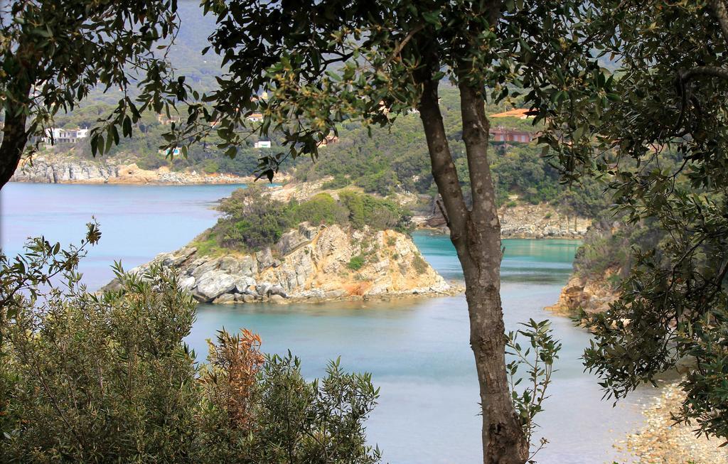 Napoleon By Helloelba 3* Procchio (Isola d'Elba)